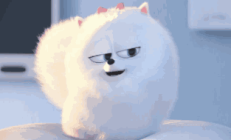 PHP+特鲁姆普l7，神仙组合是什么？为什么PHP架构师喜欢Laravel干部？ 