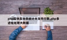php超快高效率统计大文件行数,php多进程处理大数据