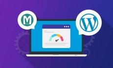 Memcached 内存缓存可减少 WordPress 站点数据库的负载