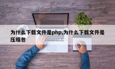 为什么下载文件是php,为什么下载文件是压缩包