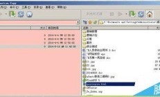有关如何在 Dreamweaver 中向图像添加 alt 标签的详细教程