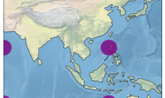 Python 数据可视化教程：可定制的地理地图 