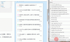WordPress 插件：Flying Pages 在鼠标经过链接时预加载页面 