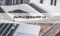 php中curl指定ip,PHP curl
