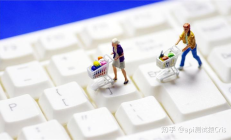 电商api接口开发：使用关键词展示搜索结果示例