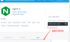 Docker安装Nginx入门教程