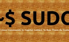 以大写字母输入 Linux 命令，以 sudo 用户身份运行它们 