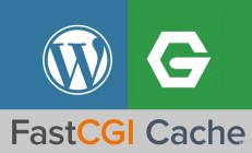 宝塔面板开启Nginx fastcgi_cache给WordPress缓存加速方法