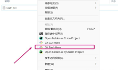 安装和使用 Git 的快速教程：Git 存储库的本地初始化