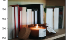 调用 TensorFlow 训练模型识别图像