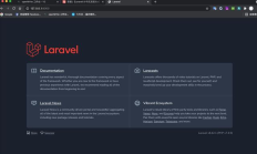 Laravel 初学者教程：Nginx 运行 Laravel，我们先运行一下