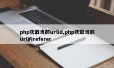 php获取当前urlid,php获取当前url的referer