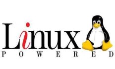 Linux下各目录的结构说明及使用介绍