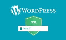 什么是 SSL？为什么它是您的 WordPress 网站的必备功能 