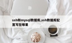 ssh和mysql数据库,ssh数据库配置写在哪里