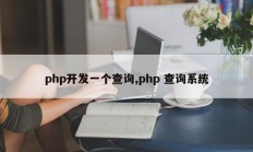 php开发一个查询,php 查询系统