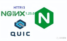 Nginx 1.25.0发布，开启HTTP时代的魔盒3