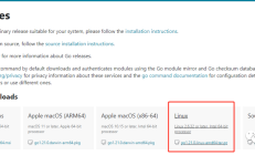 Centos/Ubuntu/Linux宝塔面板安装go开发环境