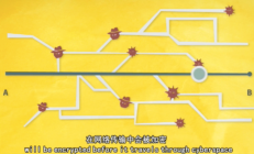 什么是 SSL 证书？有什么优点？ HTTP 和 HTTPS 有什么区别？ 