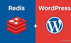 如何在宝塔面板中启用Redis对象缓存插件？ 