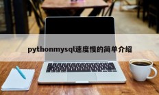 pythonmysql速度慢的简单介绍