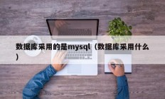 数据库采用的是mysql（数据库采用什么）