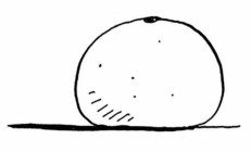 机器学习算法图：K近邻算法——橙子还是柚子？ 