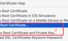 Postman进行接口测试，解决SSL环境问题
