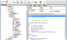 PostgreSQL（INSERT 语句 + 查询工具） 插入数据 