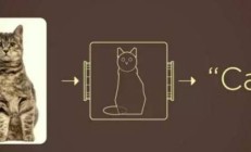 图像分类的五种技术，算法和应用方法的总结和总结，并进行实验验证