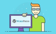 WordPress 开发人员需要学习什么？ 
