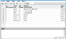 条件 PostgreSQL AND & OR 查询示例 