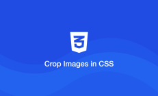 CSS object-fit 属性允许图像适应 宽高比