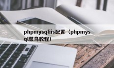 phpmysqliis配置（phpmysql菜鸟教程）