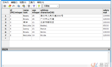PostgreSQL IN条件查询：从指定条件满足IN条件
