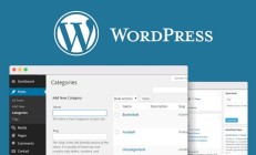 WordPress 如何使用帖子类别和标签改进网站的 SEO 