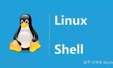 Hacker Shell 的魔力：覆盖 Linux 服务器上的操作痕迹 
