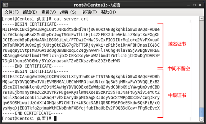 Linux版RapidSSL证书安装指南