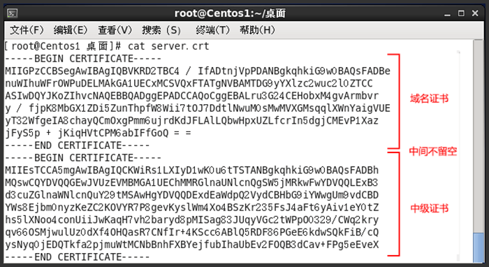 Linux版GeoTrust证书安装指南