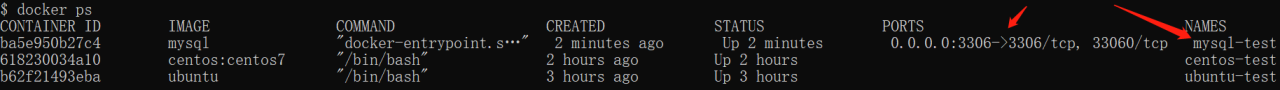 Docker 安装 MySQL 实战教程