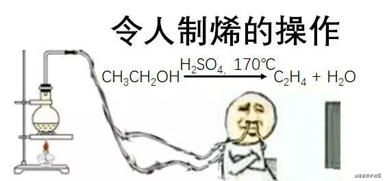 BB2202C4-E9E5-4437-A159-E131796C6F95.jpeg