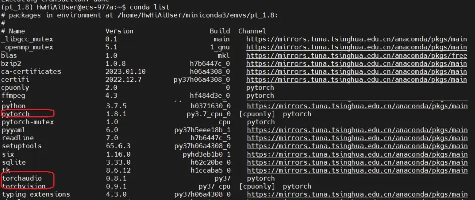华为AI加速型ECS上安装Pytorch和Tensorflow框架