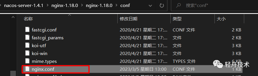 微服务之nginx反向代理，拿到nacos集群配置信息