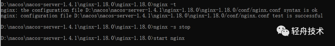 微服务之nginx反向代理，拿到nacos集群配置信息