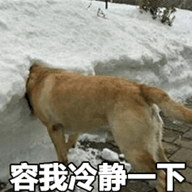 2023StackOverflow 调研结果：PostgreSQL是世界上最成功的数据库