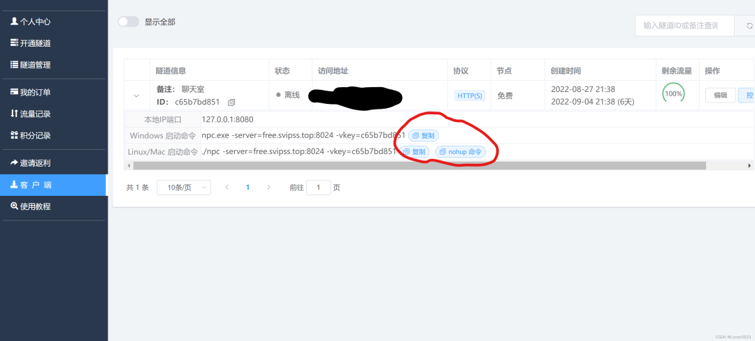 NGINX+飞鸽内网穿透，没钱也能搭建自己的服务器