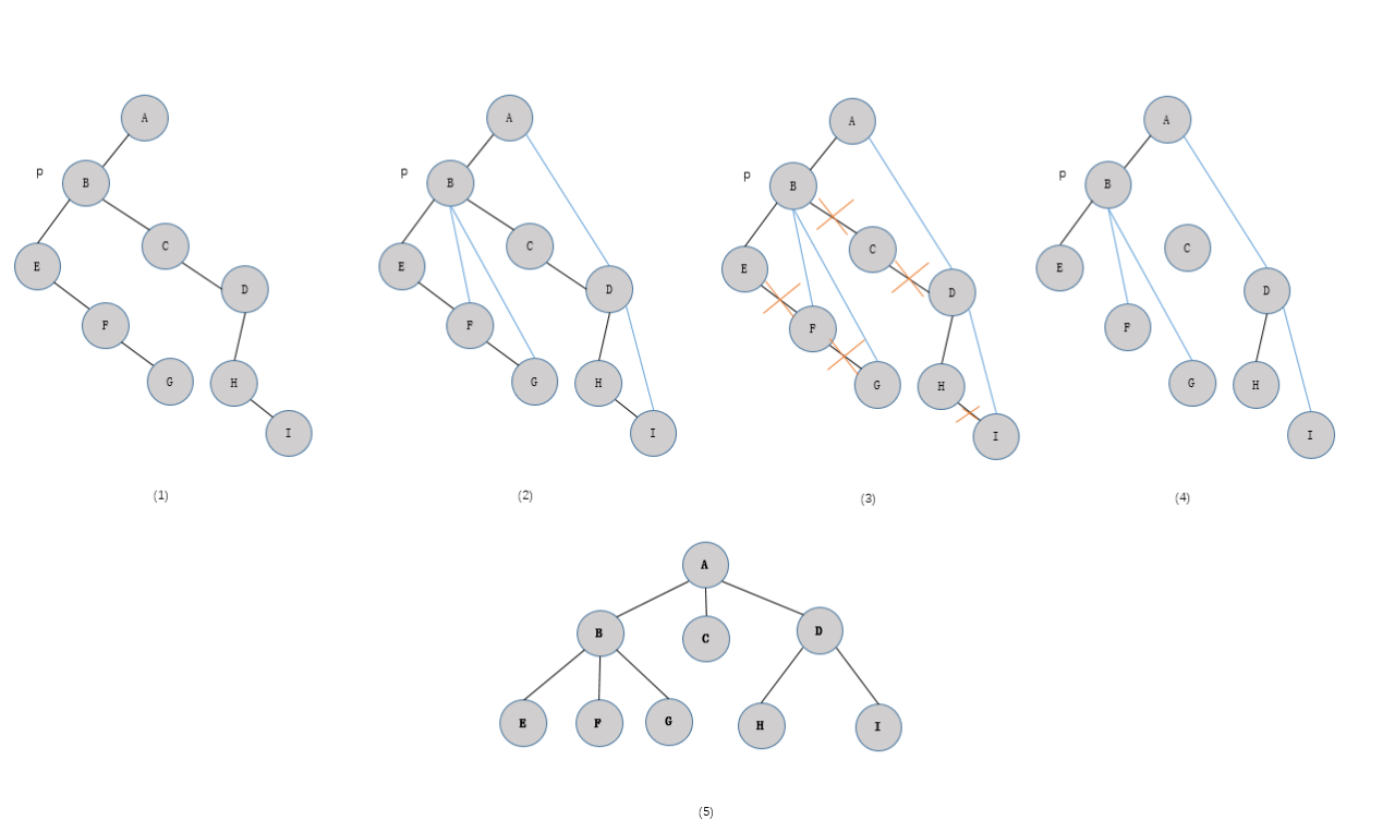 二叉树(树)与森林的相互转换