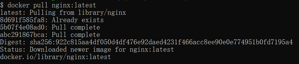 Docker 安装 Nginx 入门教程