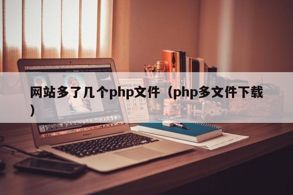 网站多了几个php文件(php多文件下载)