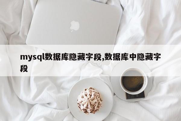 mysql数据库隐藏字段,数据库中隐藏字段